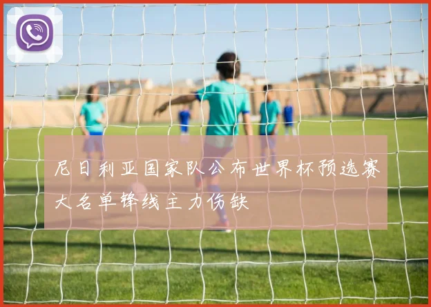 尼日利亚国家队公布世界杯预选赛大名单锋线主力伤缺