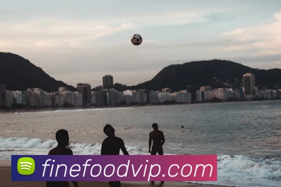 博雅app官网登录APP 封面图